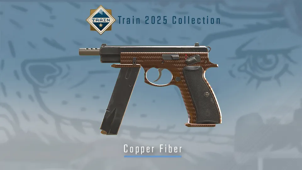 Источник: сайт Counter-Strike 2
