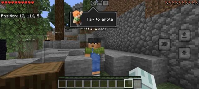 Кроссплей между Hytale и Minecraft. Источник: reddit