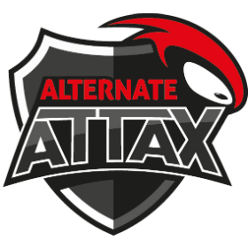 Team Alternate