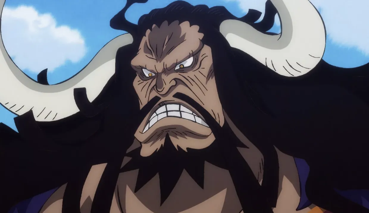 Кадр из аниме «Ван-Пис»