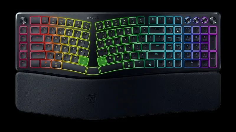 Razer Pro Type Ergo | Фото: Razer