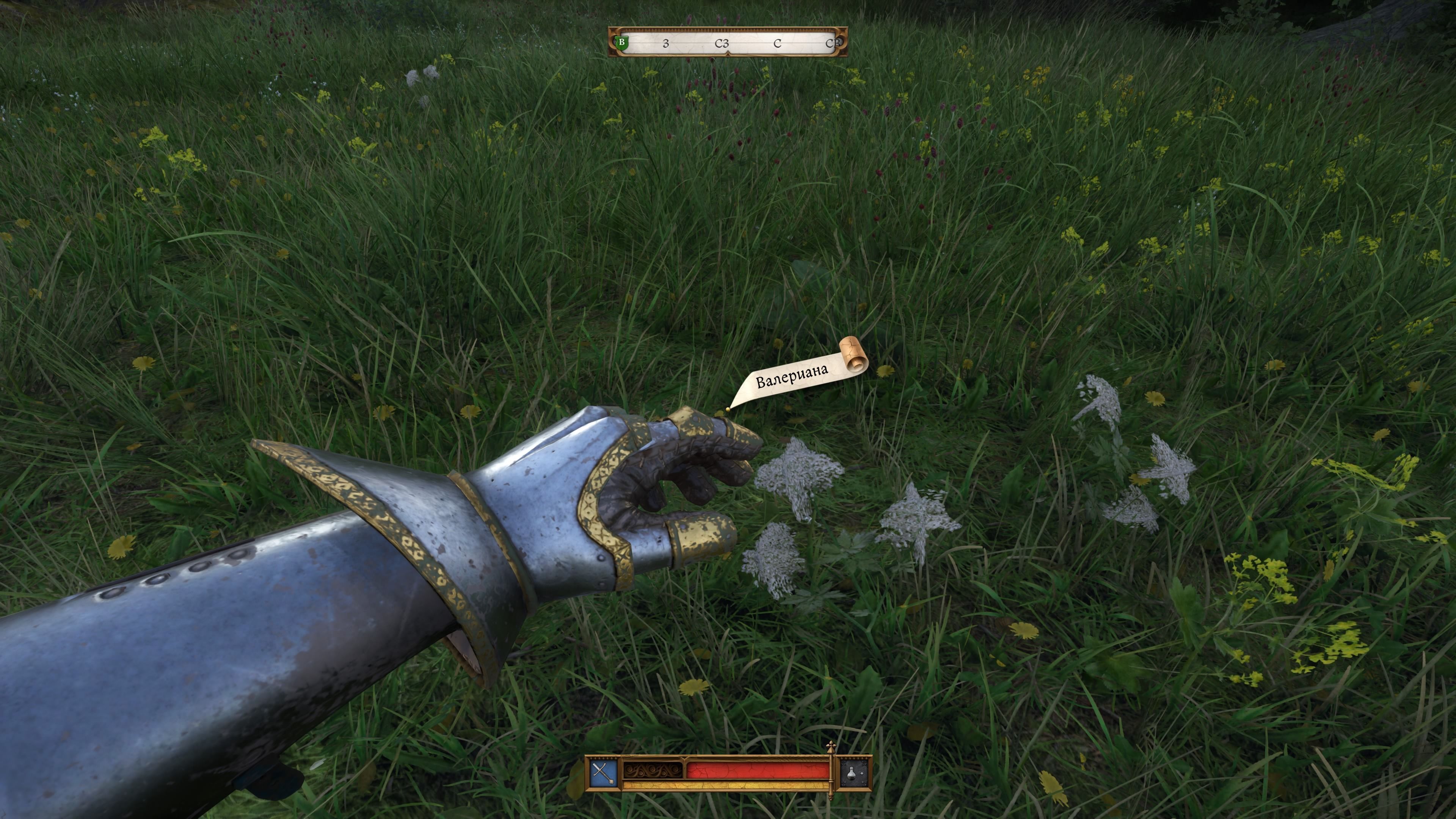 Скриншот из игры Kingdom Come: Deliverance II