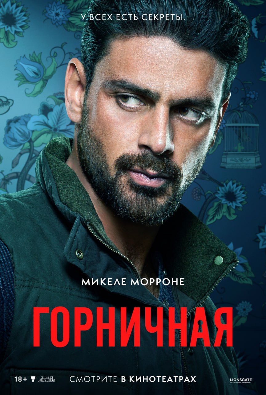 Источник: t.me/volgafilms