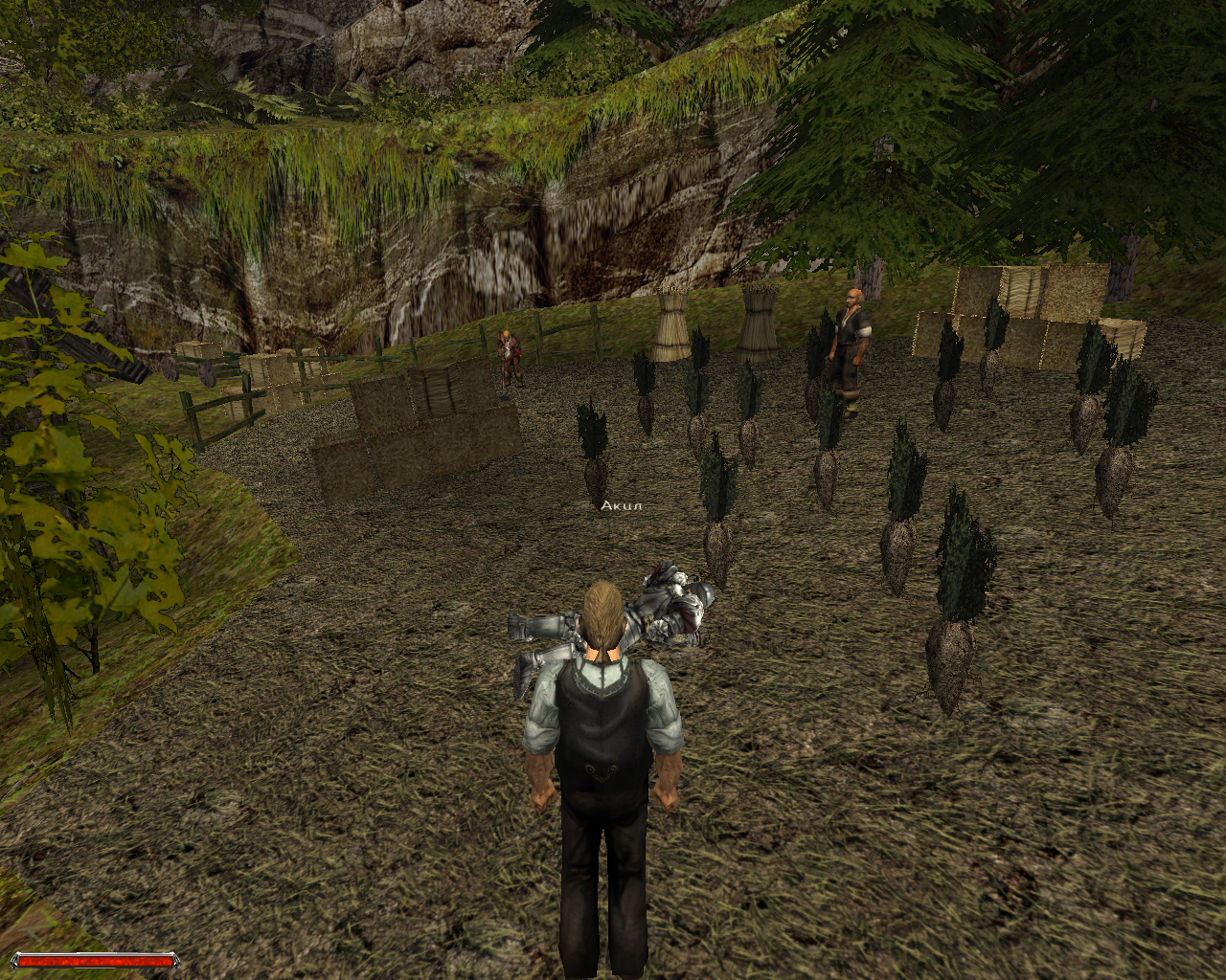 Как же здорово, что я не отдал репку этому Лобарту, а использовал её на благое дело!