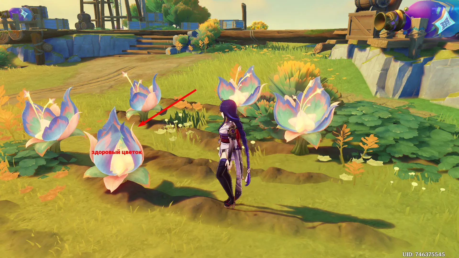 Источник: Genshin Impact