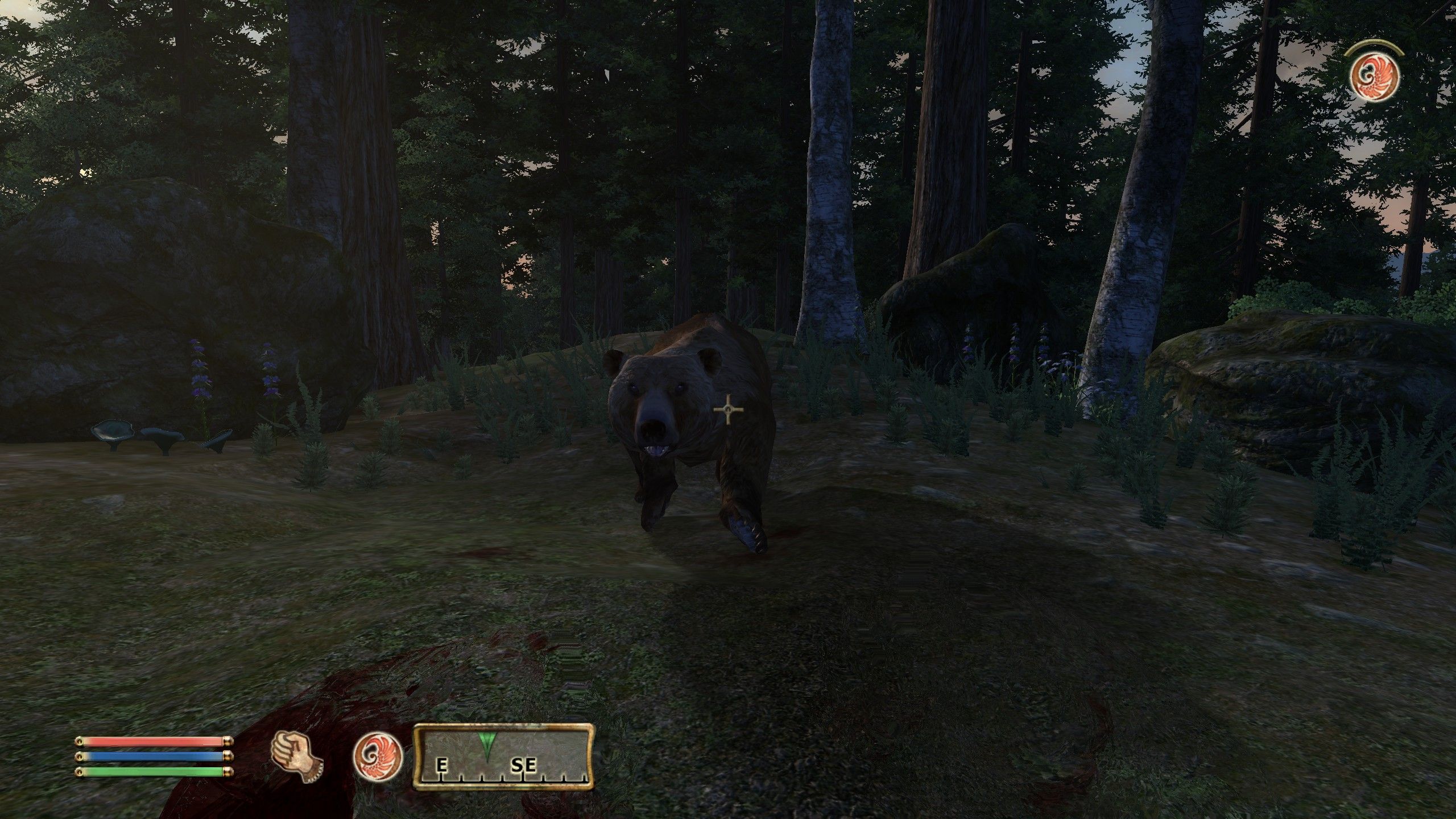 The Elder Scrolls IV: Oblivion