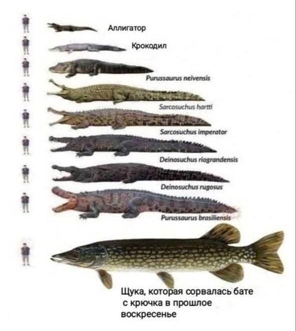 Оно самое