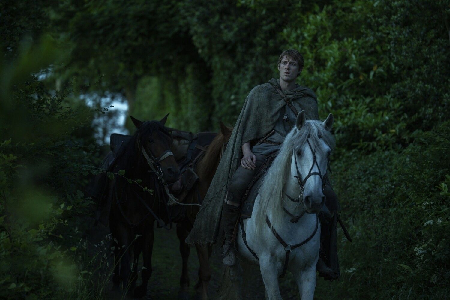 Кадр из сериала «Рыцарь Семи Королевств»