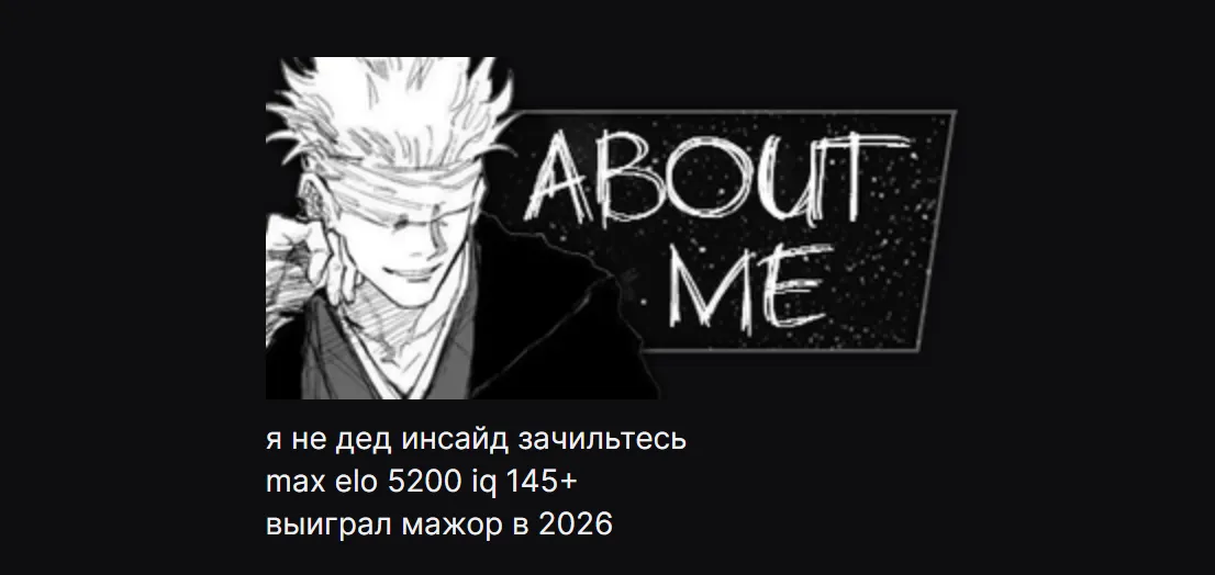 Как описывает себя skywhywalker | Источник: Twitch