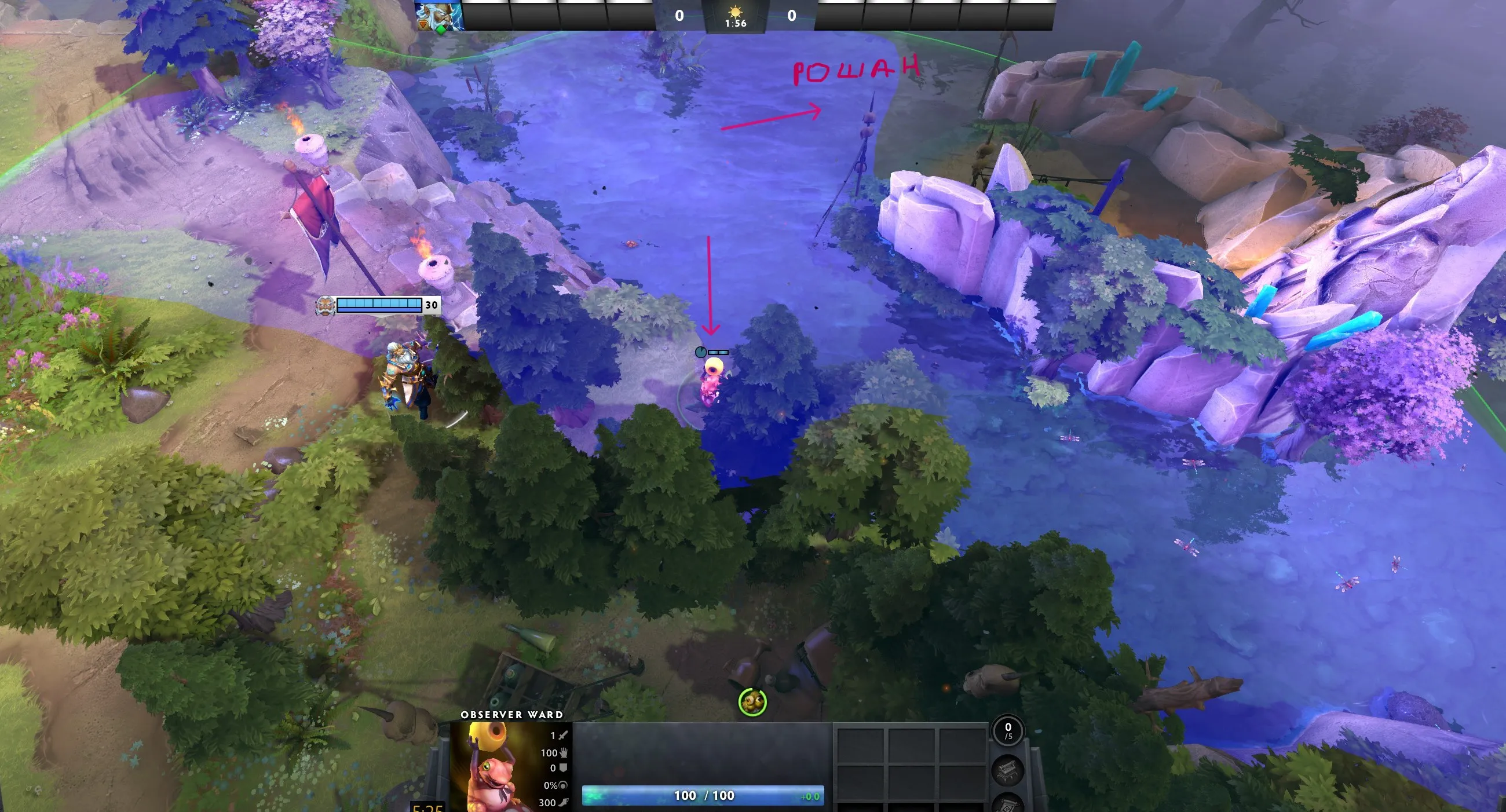 Вард на Рошпит | Источник: Dota 2