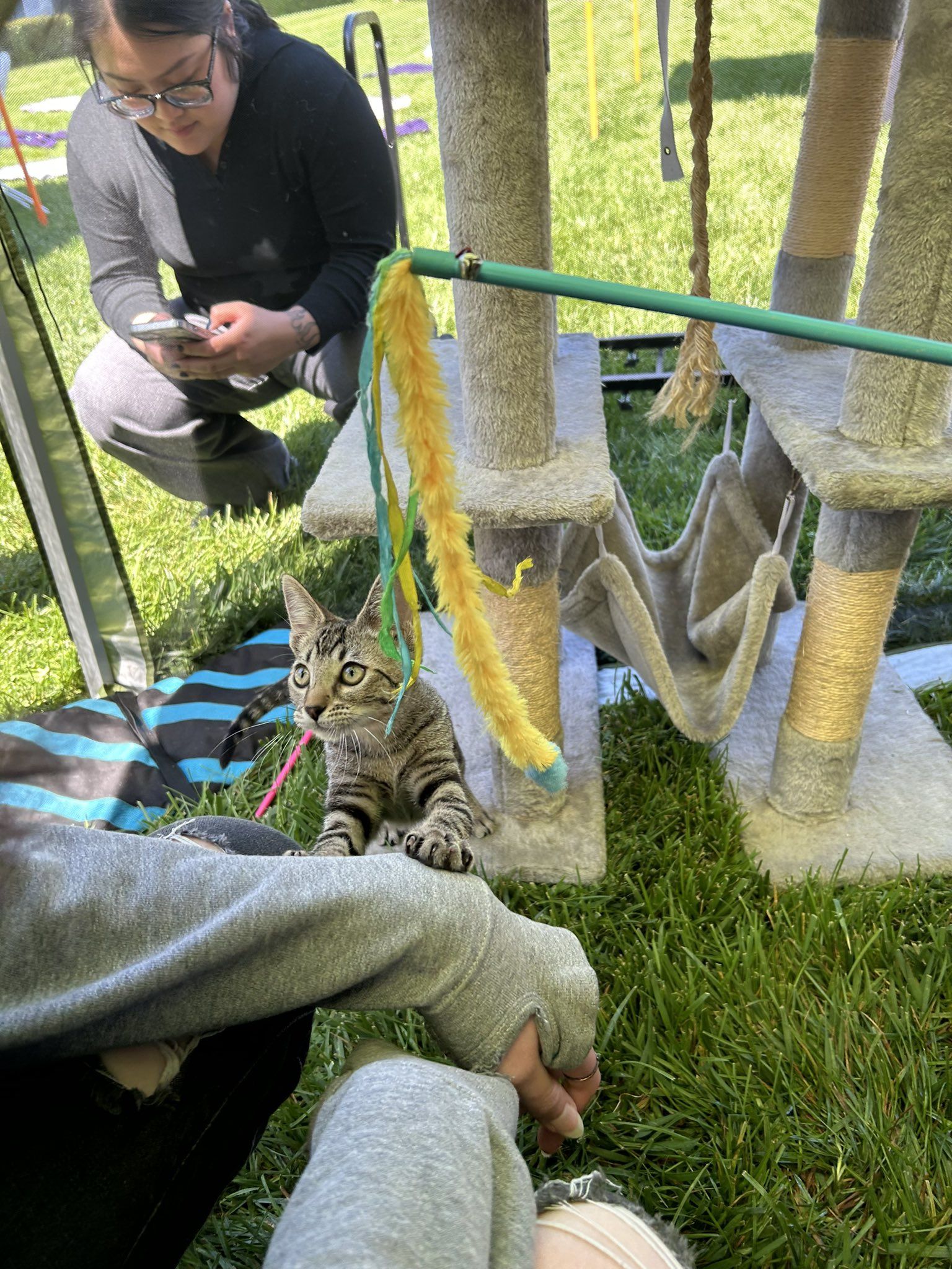 «День Средневековья» в Blizzard