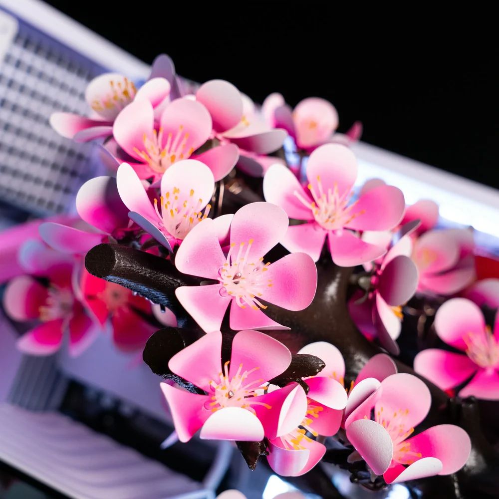 Aftershock Cherry Bloom | Источник: Aftershock