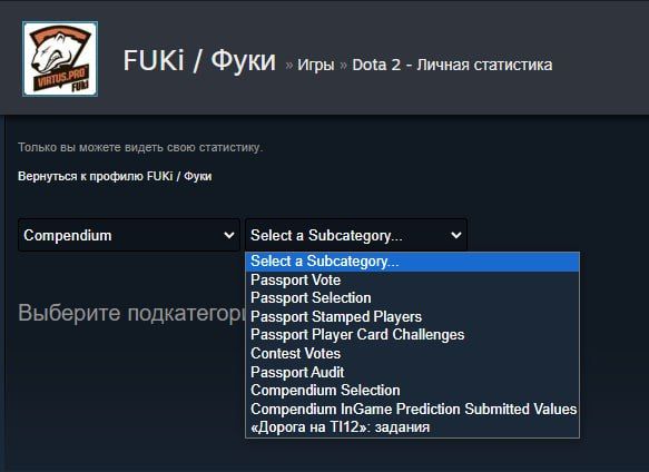 Новая категория в разделе личной статистики в Steam 