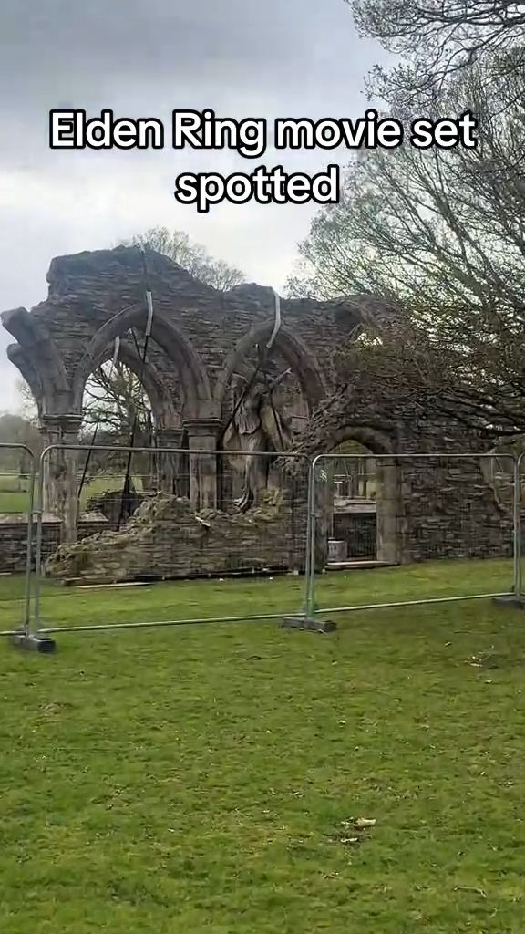 Источник: TikTok Throxtv