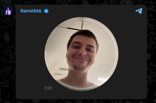 Источник: t.me/Ramzesasd