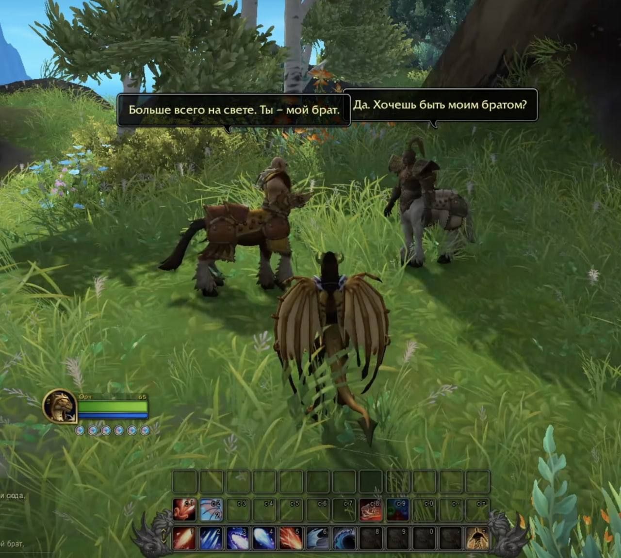 Квест о церемонии братания в World of Warcraft