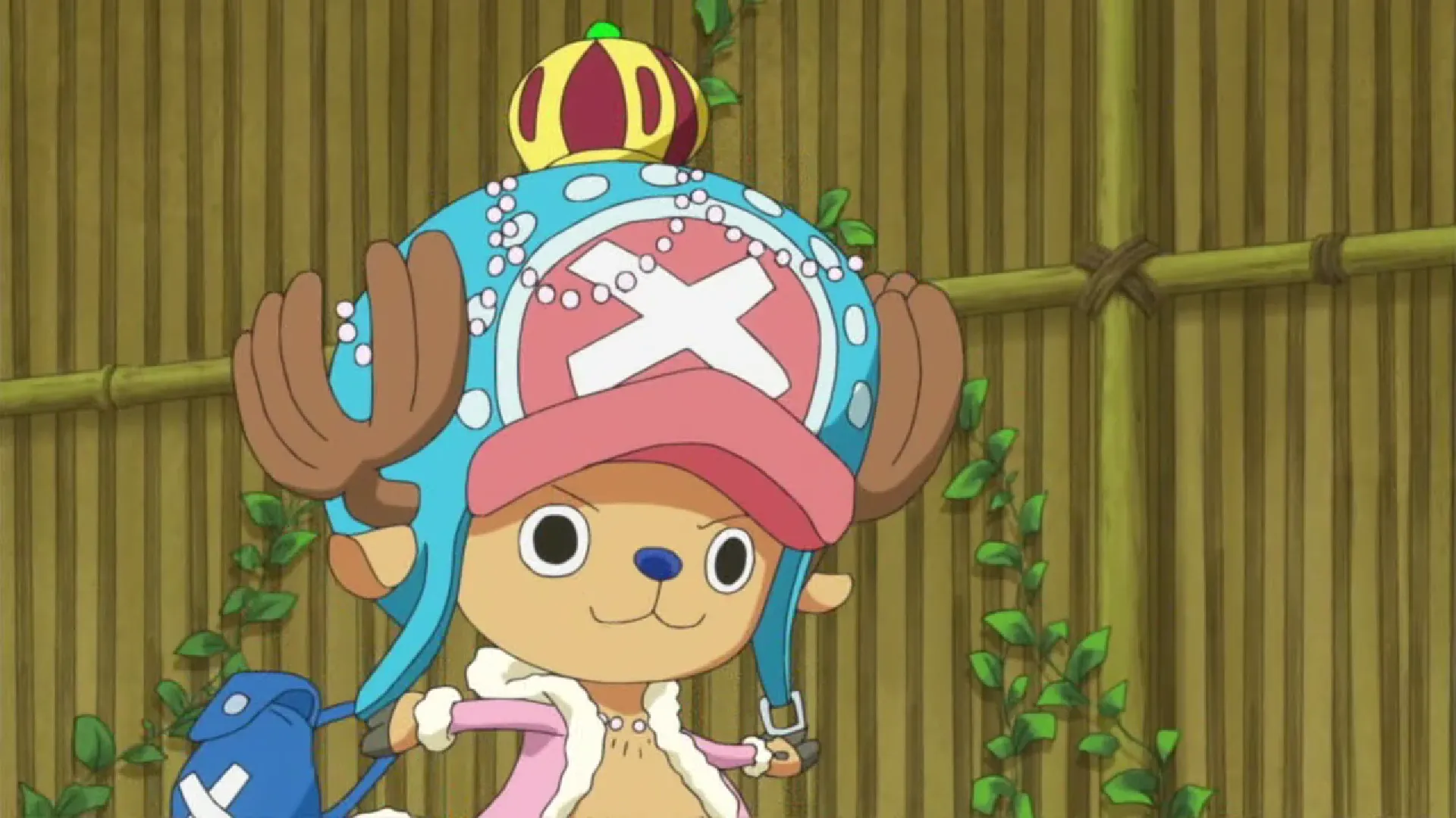 Кадр из аниме «Ван-Пис»