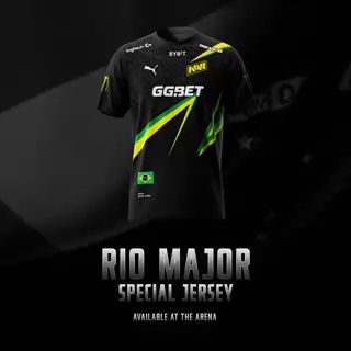 Источник: Natus Vincere