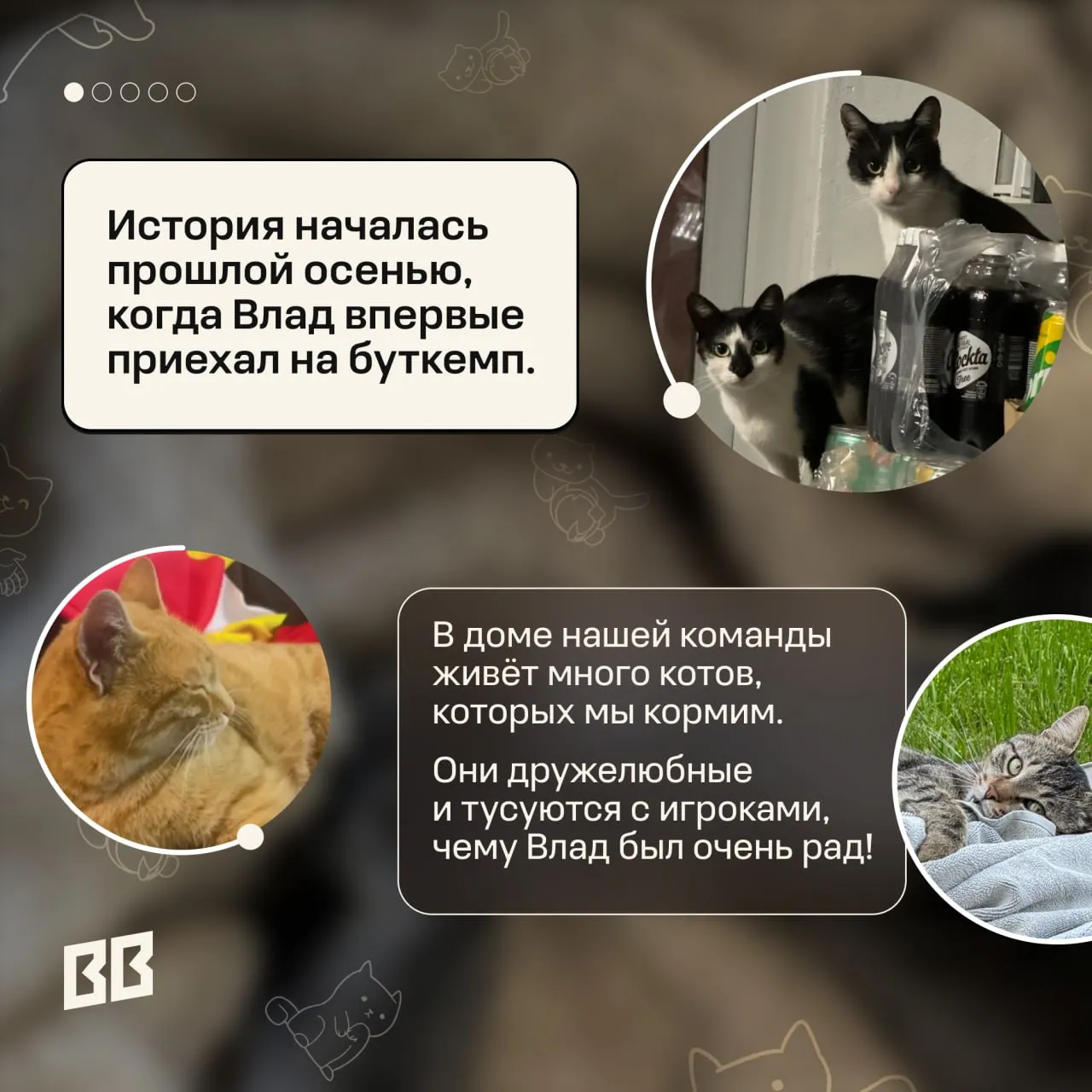 Источник: канал BetBoom Team в Telegram