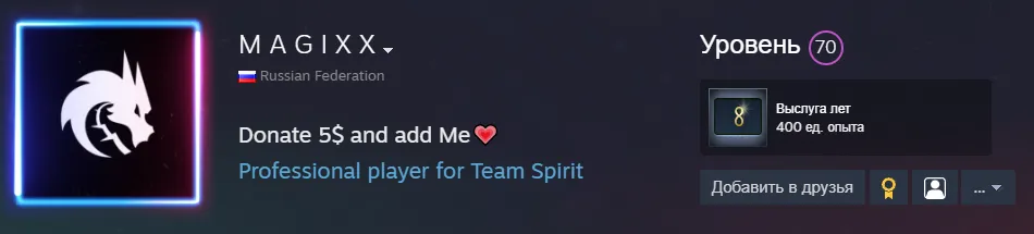 Фейковый аккаунт magixx | Источник: steamcommunity.com