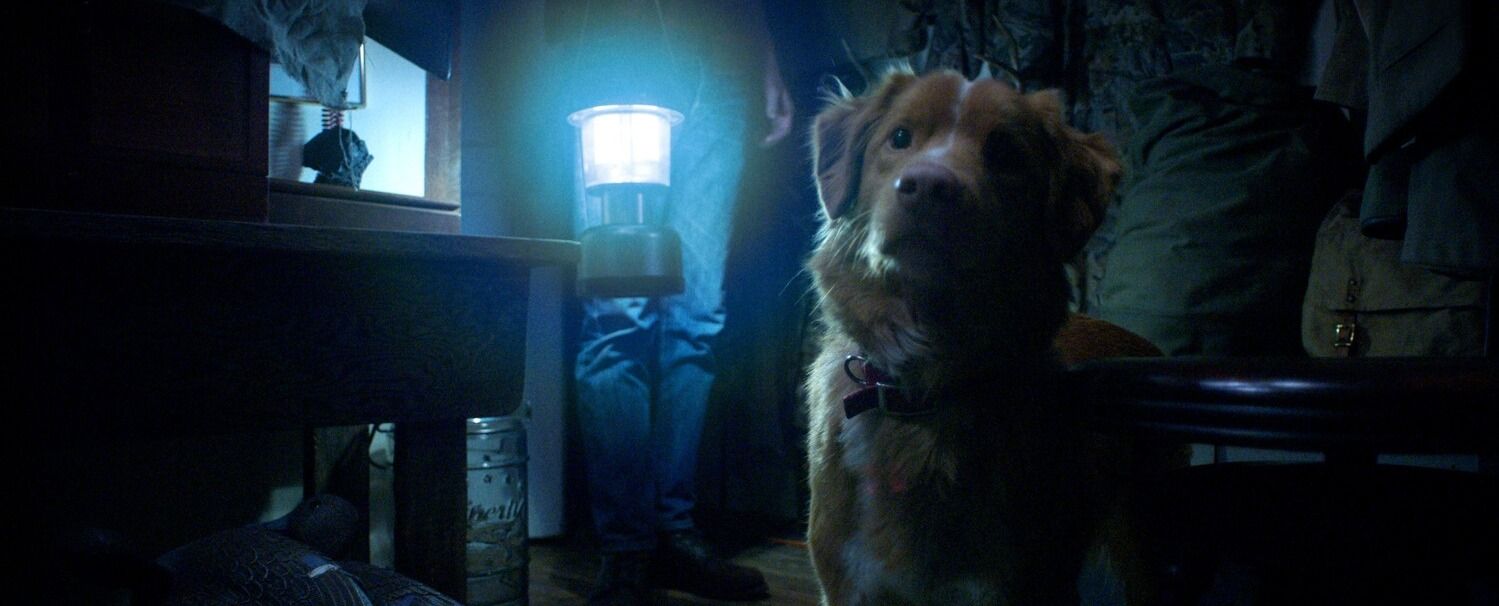 Люди-актёры — ВСЁ. Обзор мистического хоррора «Глазами пса»