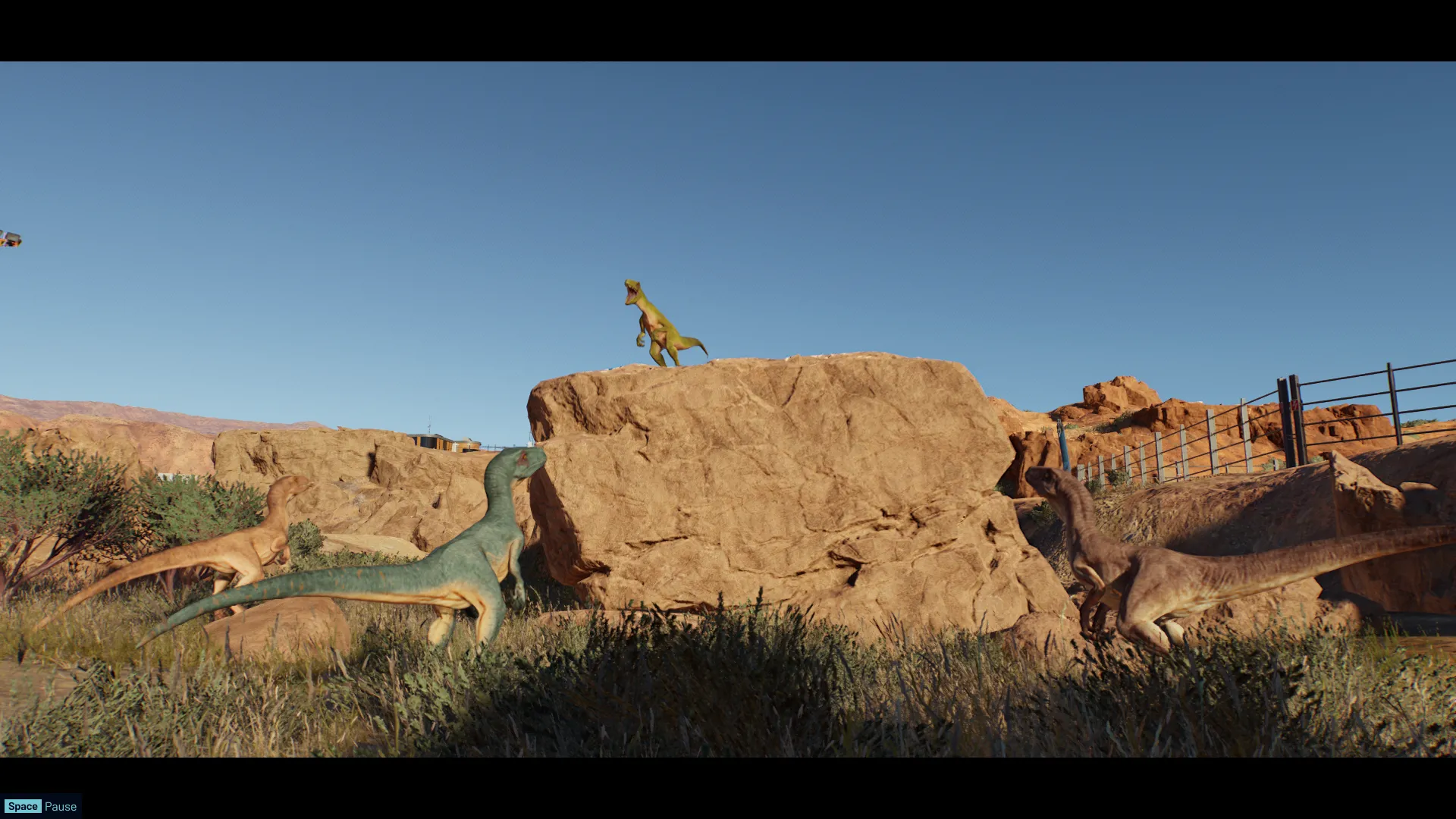 Это «велоцарапки», «велосипеды» или просто велоцирапторы в Jurassic World Evolution 3. Источник: скриншот из игры Jurassic World Evolution 3.