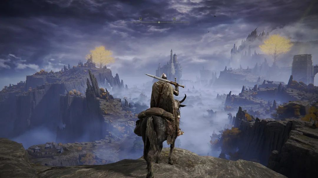 Скриншот из Elden Ring. Источник: reddit