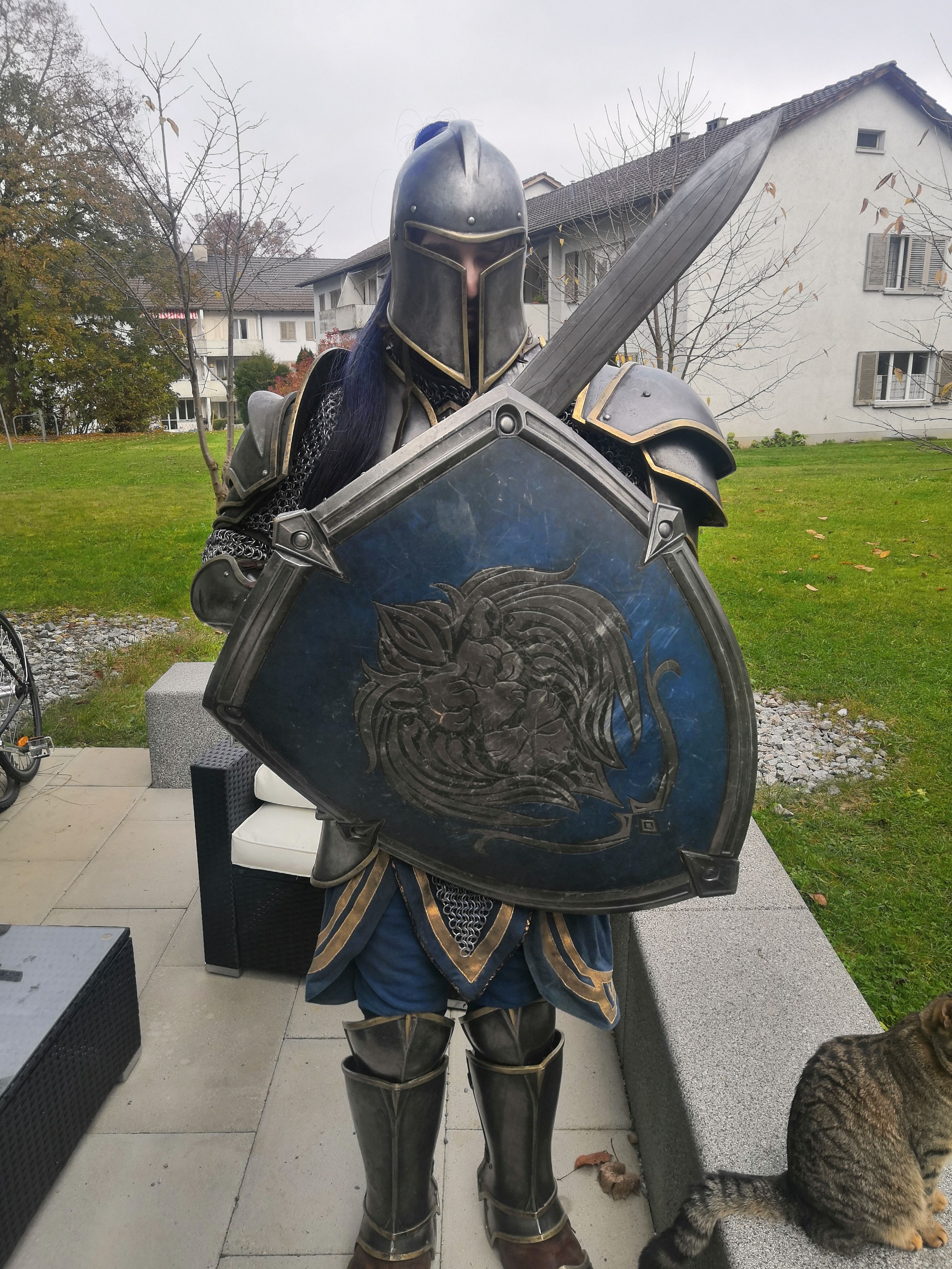 Косплей на воина Альянса из фильма &laquo;Варкрафт&raquo; | Источник: imgur.com/gallery/RGDrL1D