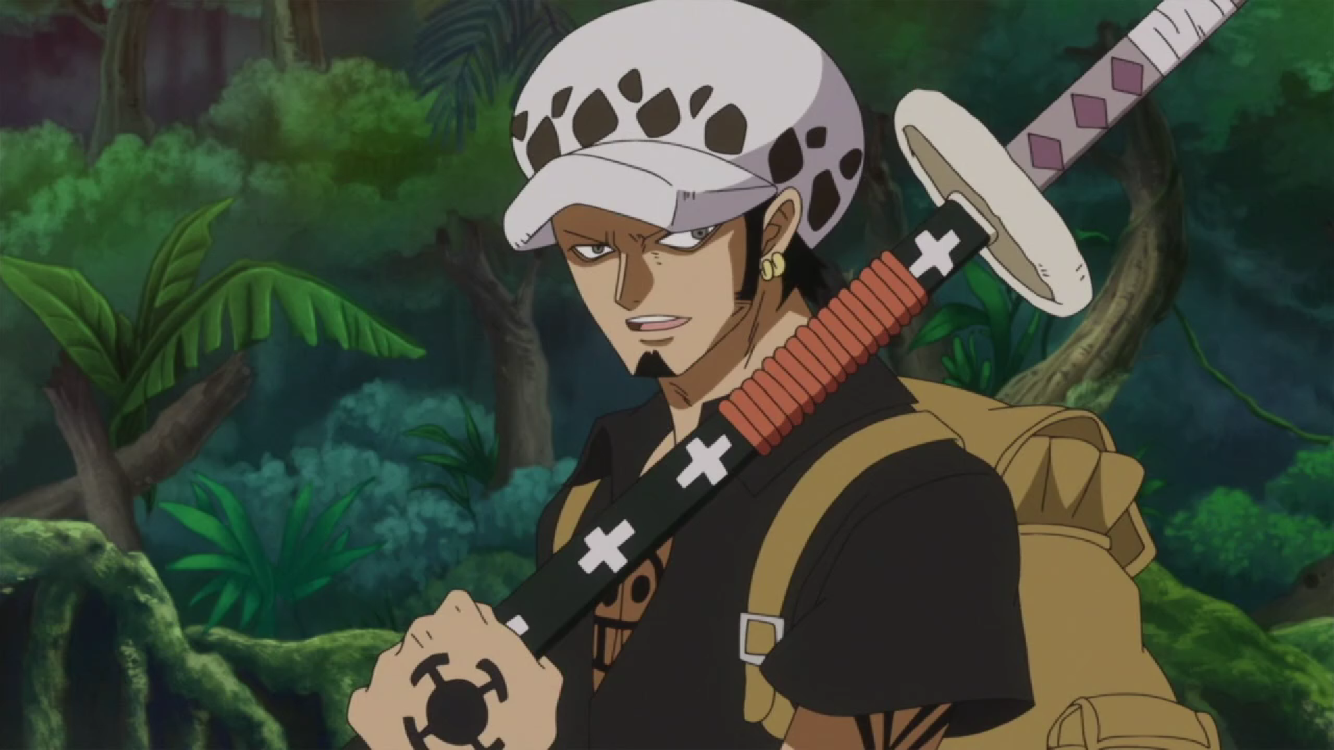 Кадр из аниме «Ван-Пис»