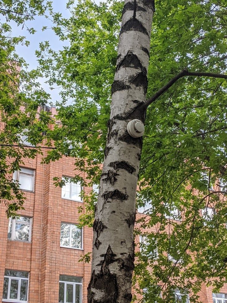 Источник: киберпанк, который мы заслужили / vk.com