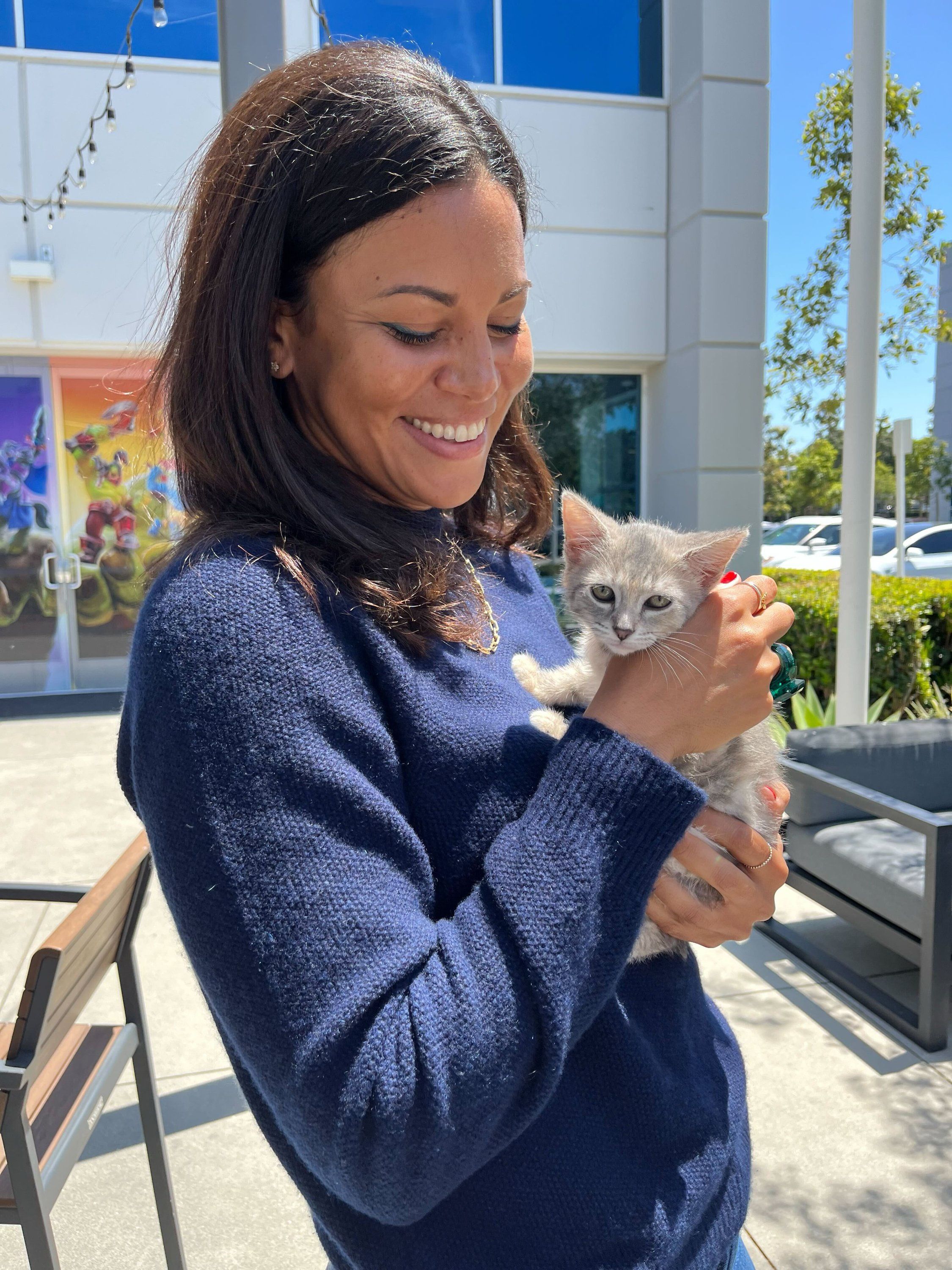 «День Средневековья» в Blizzard