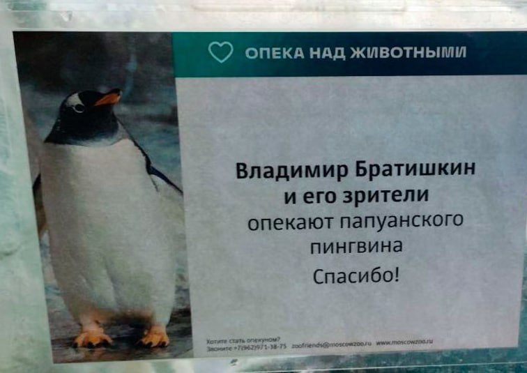 Постер в зоопарке. Источник: t.me/cyberslovo