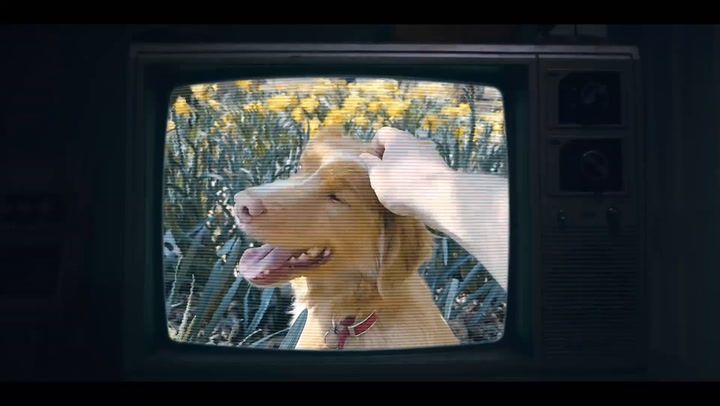 Кадр из фильма «Глазами пса»