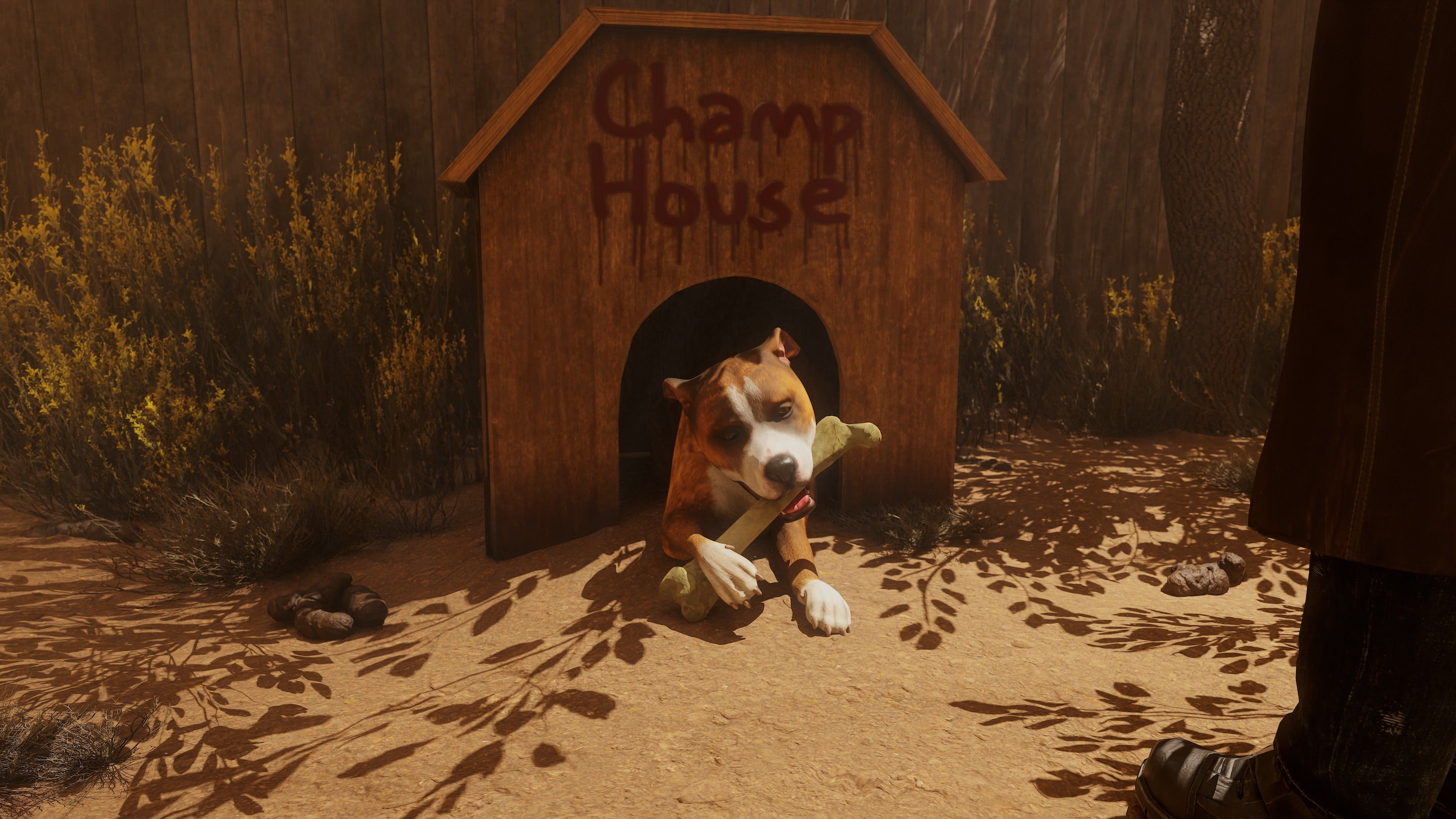 Скриншот из Postal 2 Redux. Источник: Running With Scissors