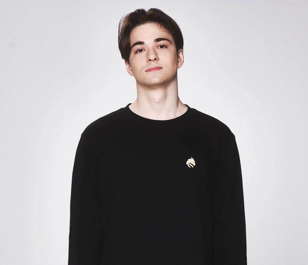 Источник: официальный сайт Team Spirit