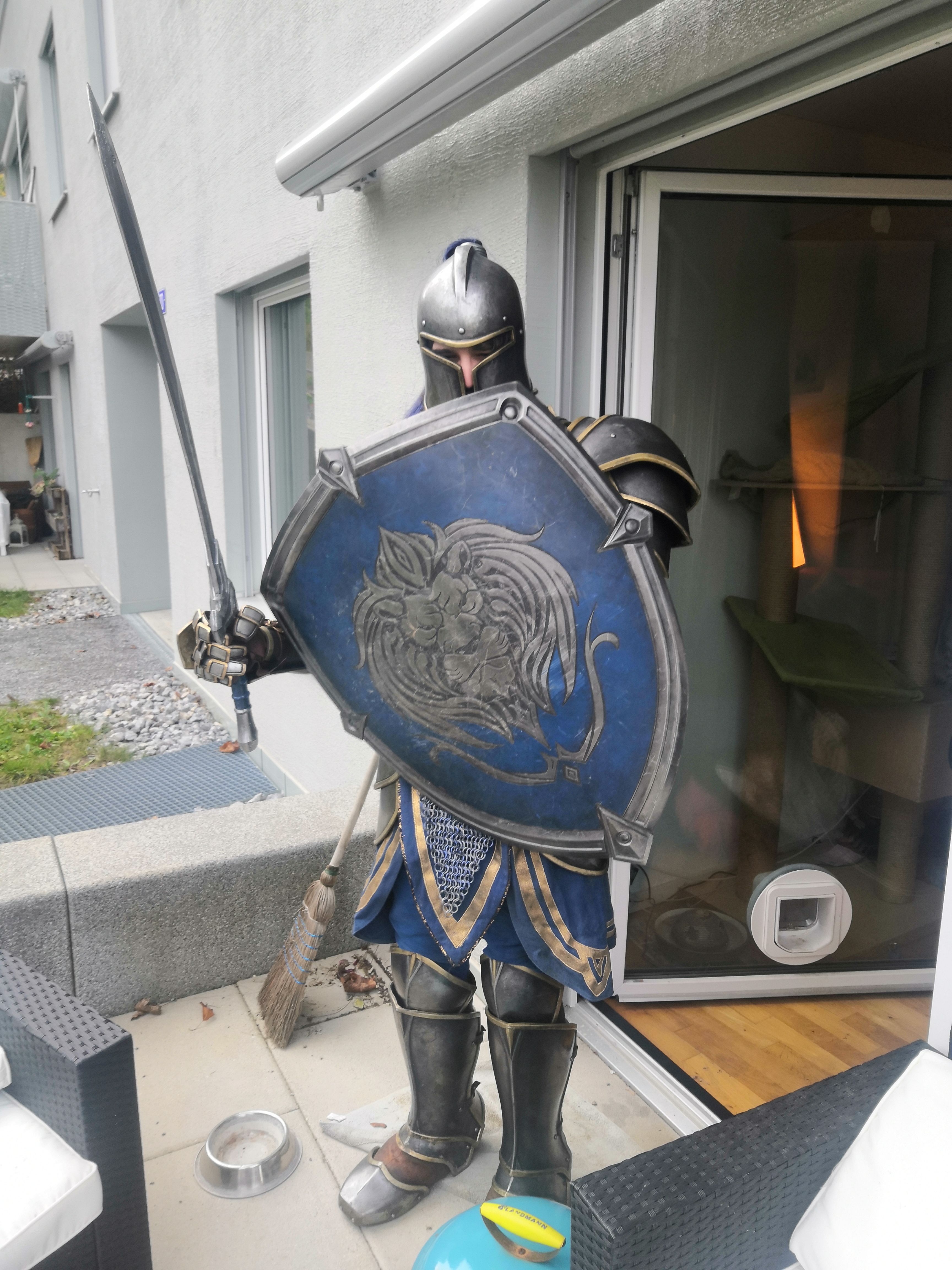 Косплей на воина Альянса из фильма &laquo;Варкрафт&raquo; | Источник: imgur.com/gallery/RGDrL1D