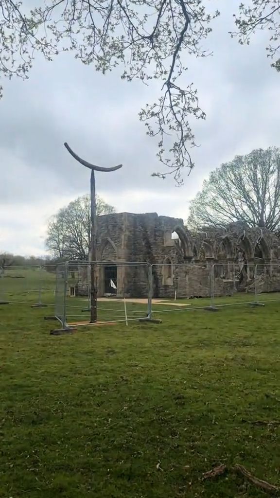 Источник: TikTok Throxtv