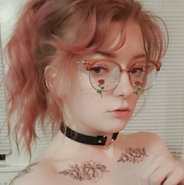 Стефани | Изображение: twitter.com/step_nie