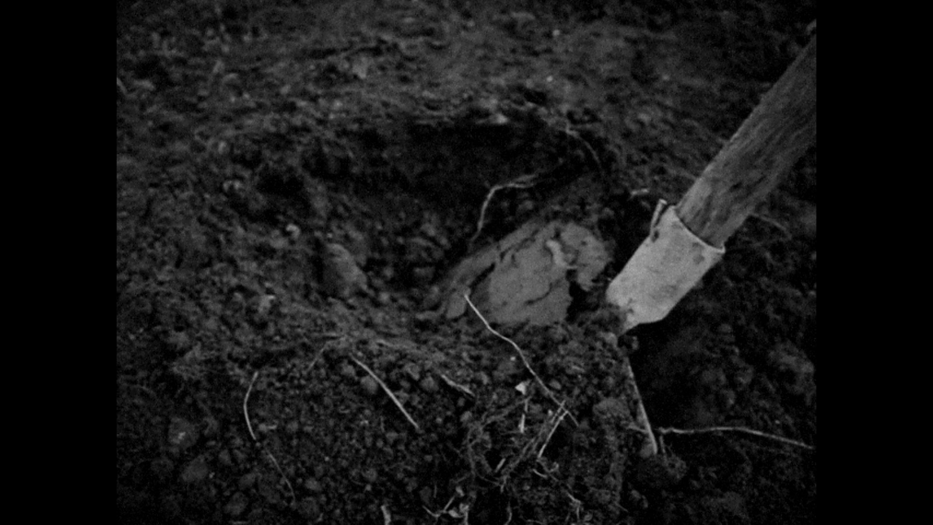 Скриншот из HORSES. Источник: сайт игры