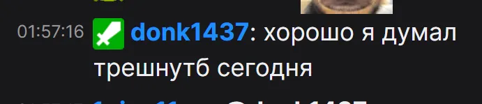Сообщение donk в чате StRoGo | Источник: twitch.tv/strogo