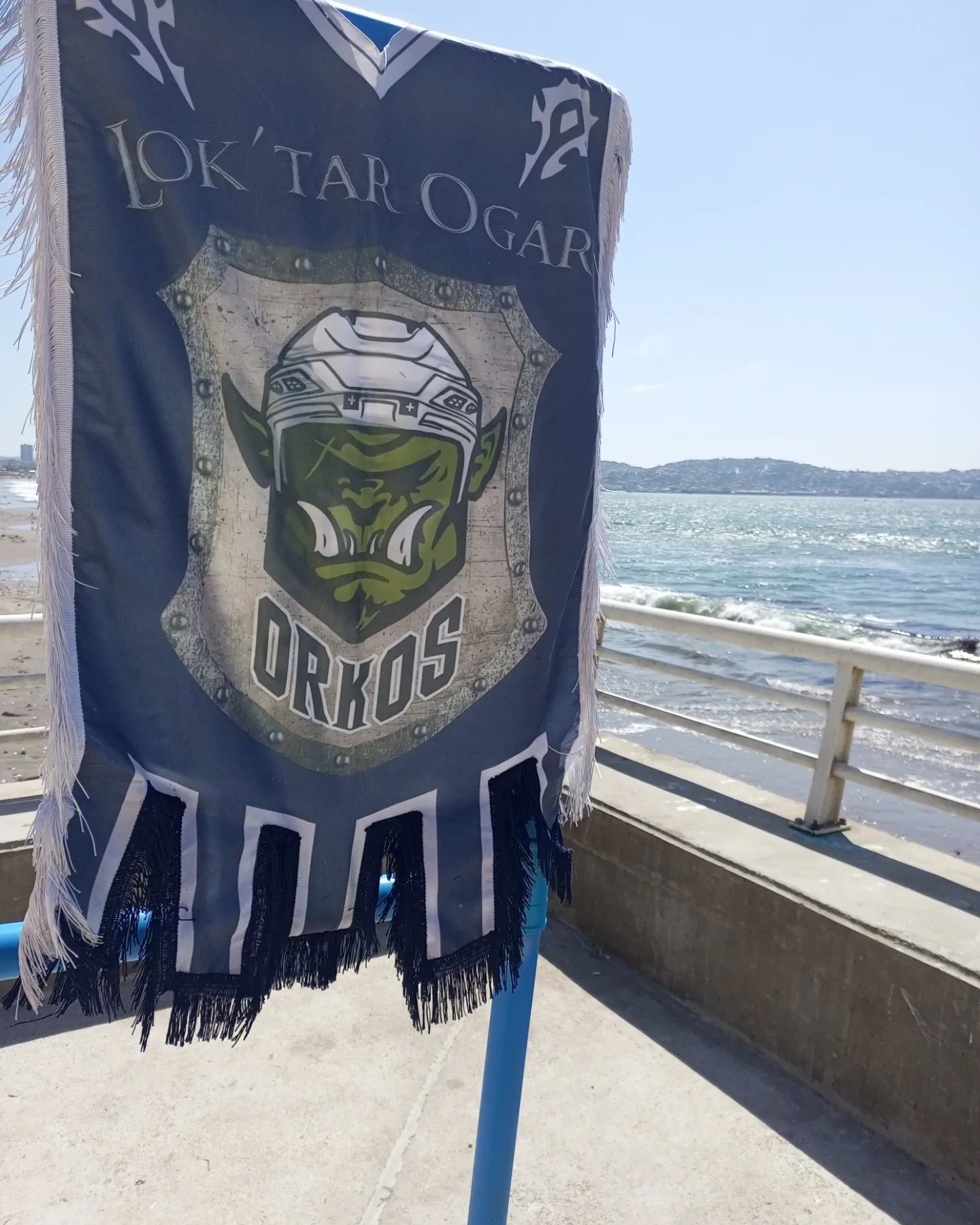 Хоккейная команда Orcos