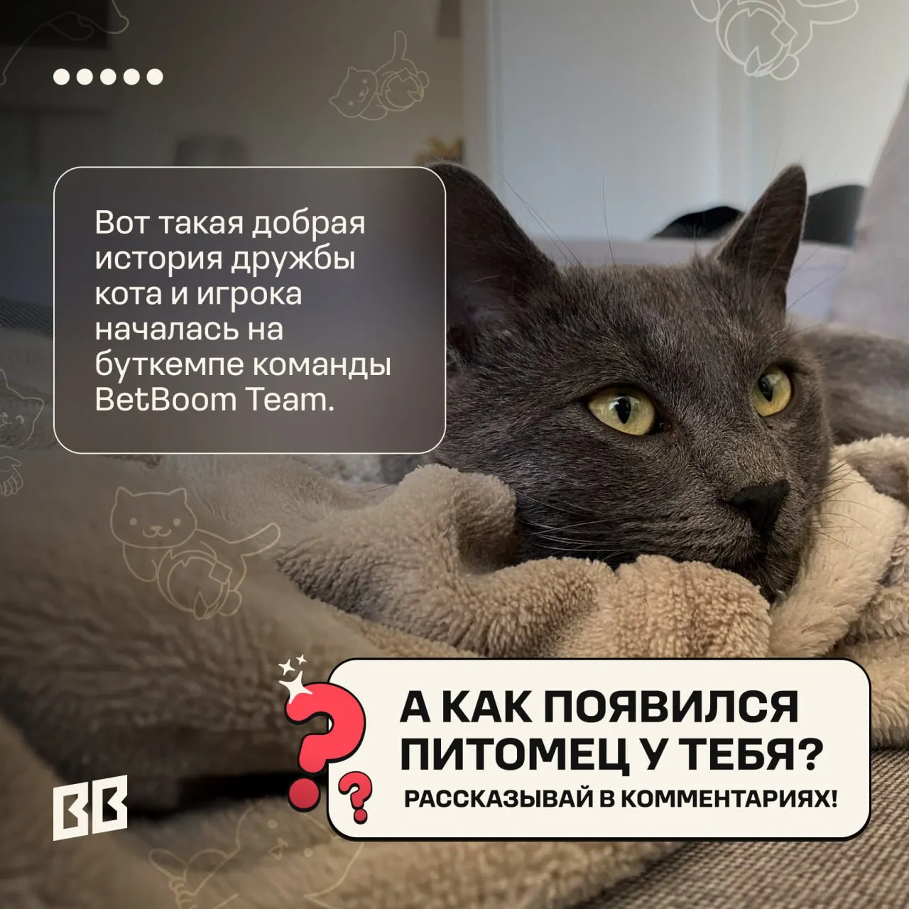 Источник: канал BetBoom Team в Telegram