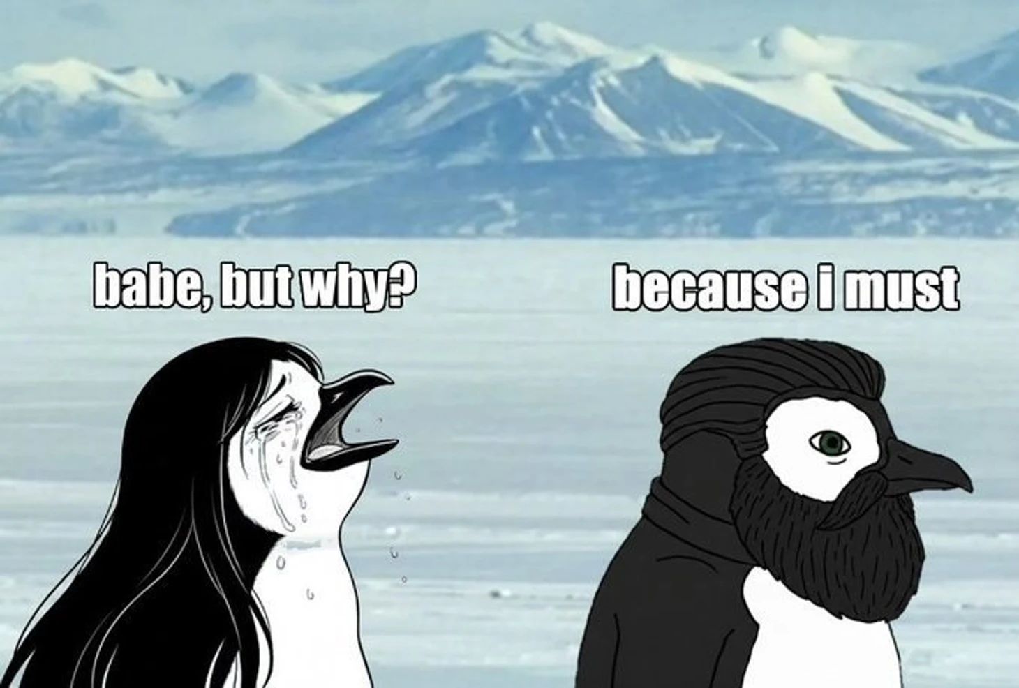 Мем с пингвином в сети