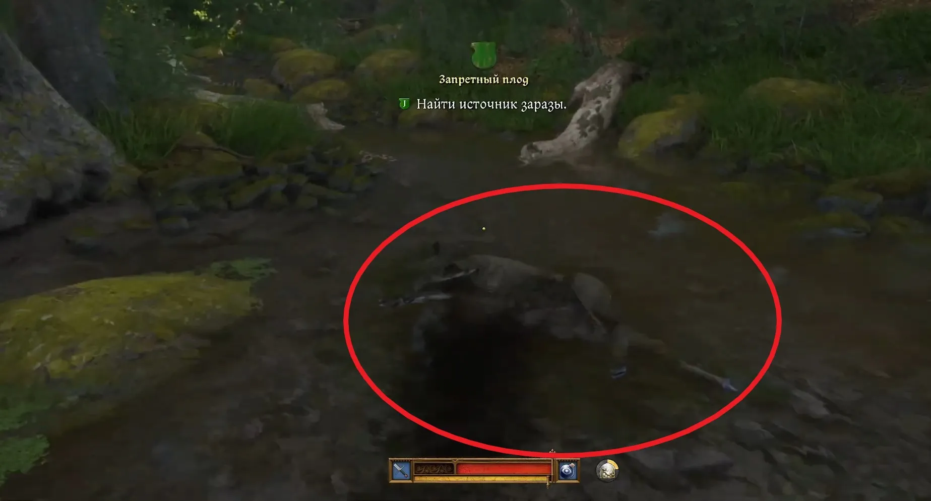 Скриншот из игры Kingdom Come: Deliverance II
