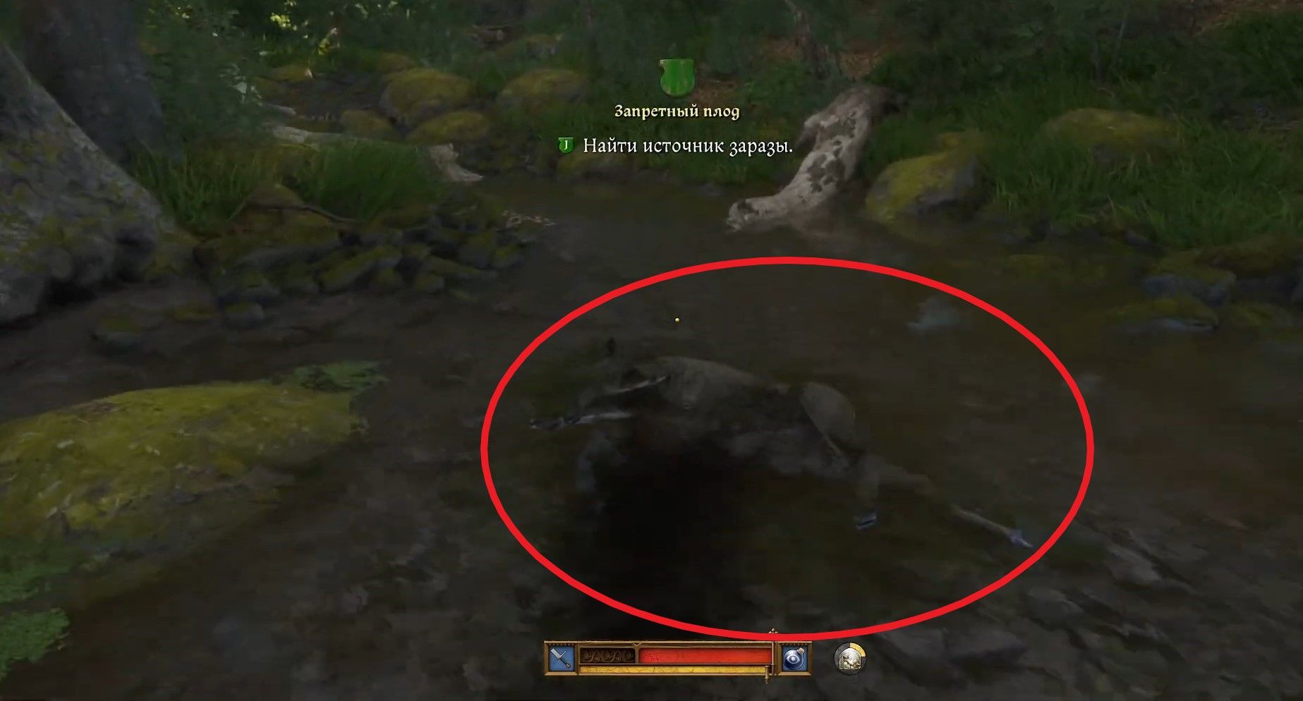 Скриншот из игры Kingdom Come: Deliverance II