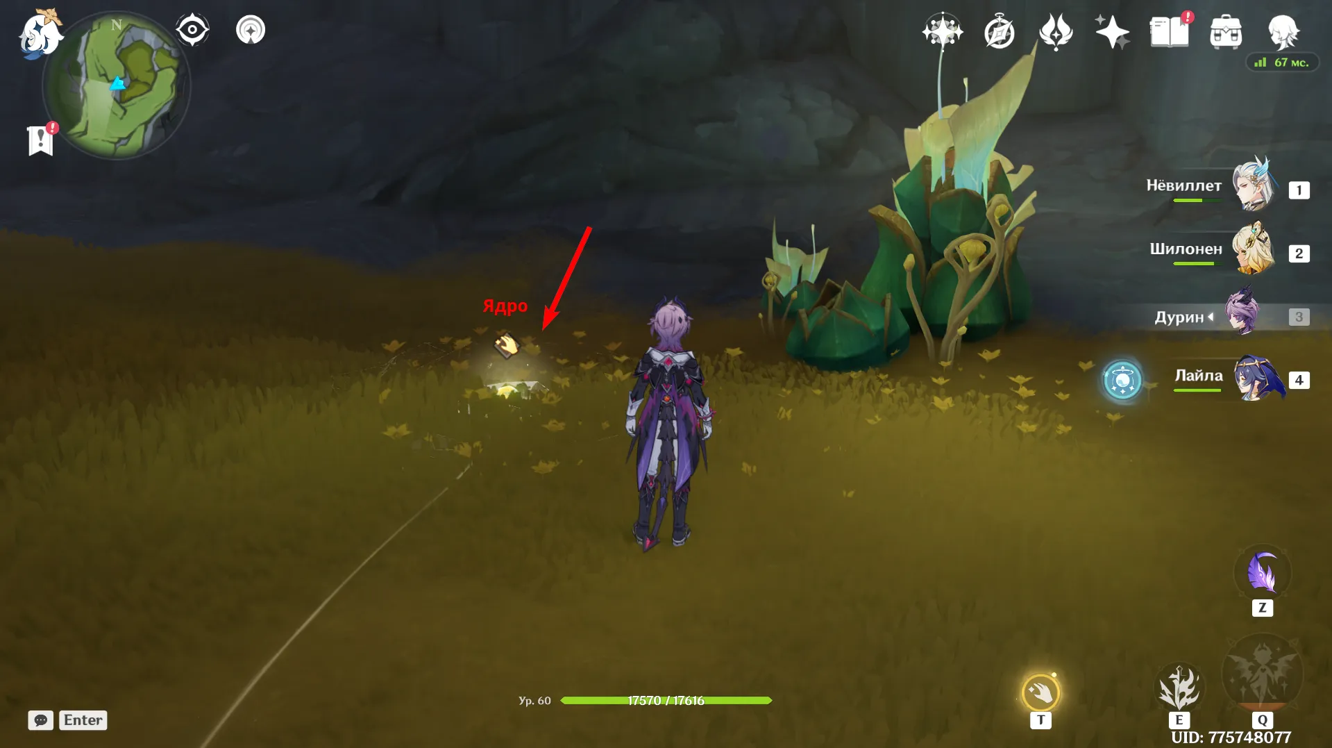 Источник: Genshin Impact