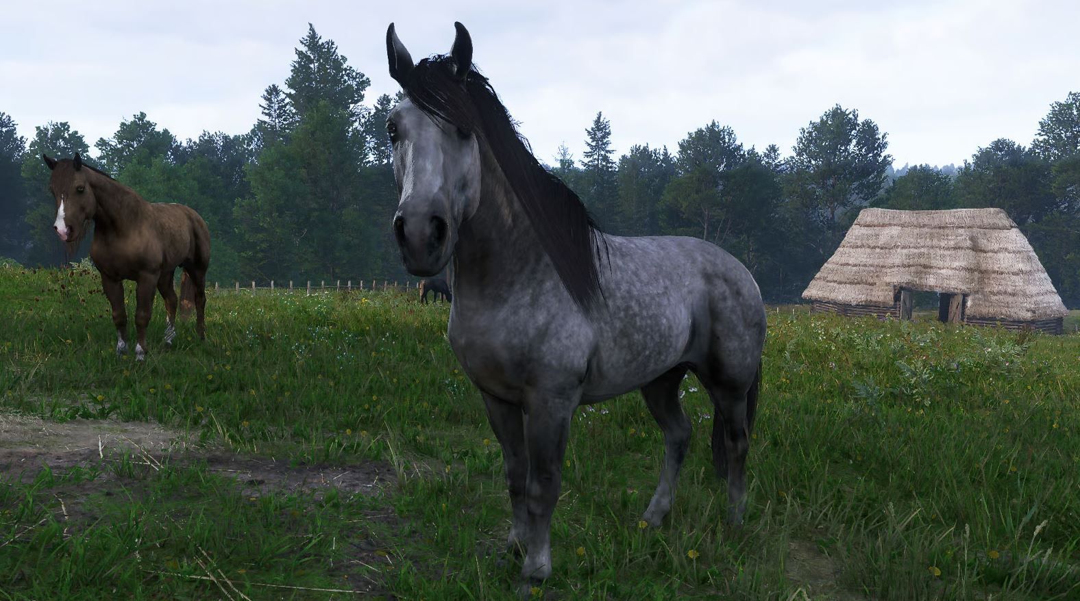 Скриншот из игры Kingdom Come: Deliverance II