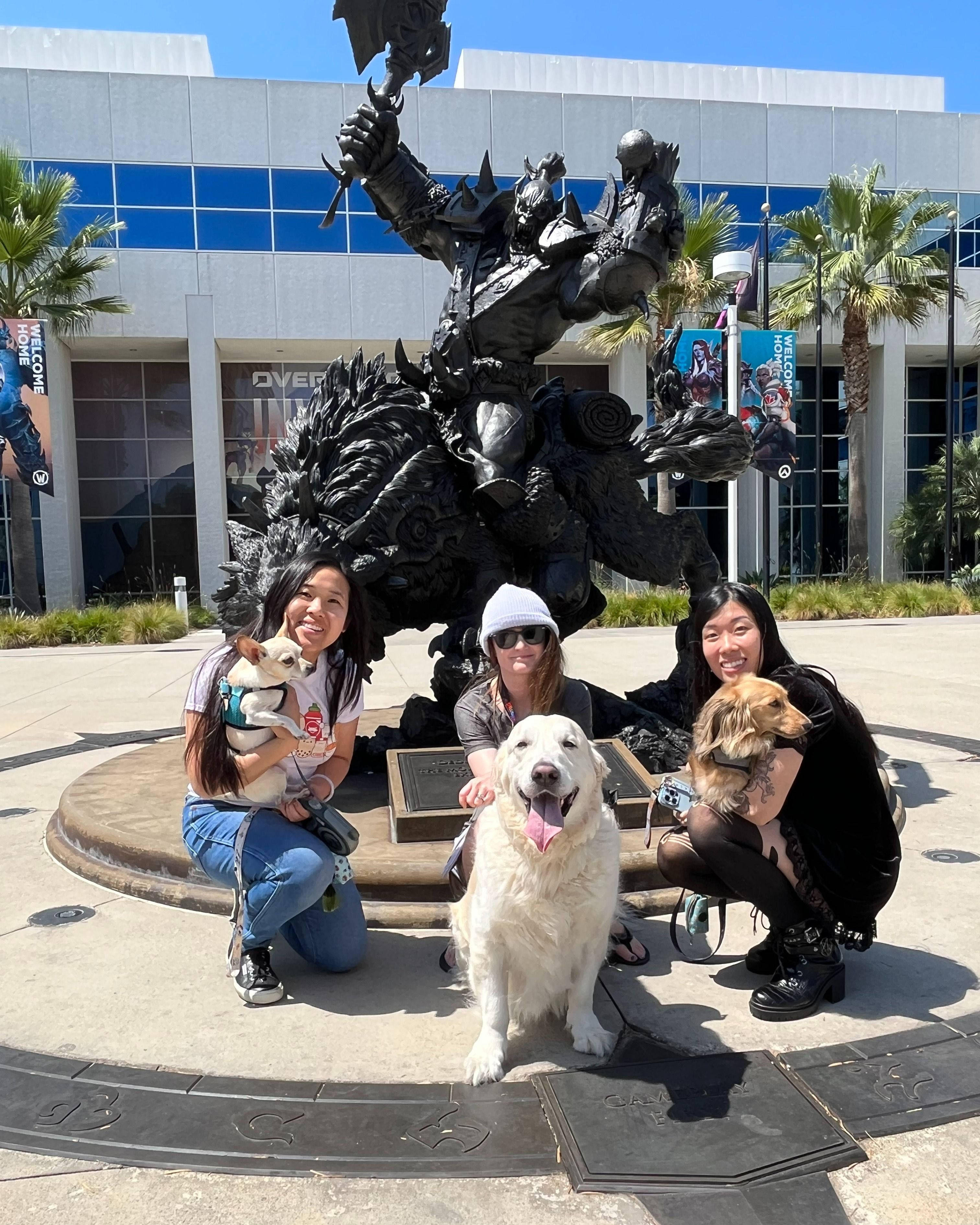 Собаки в офисе Blizzard в Ирвайне. Источник фото: твиттер LifeatBlizzard