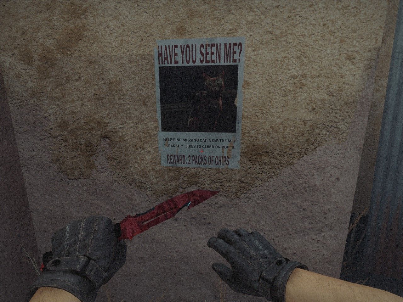 Источник: клиент игры CS2