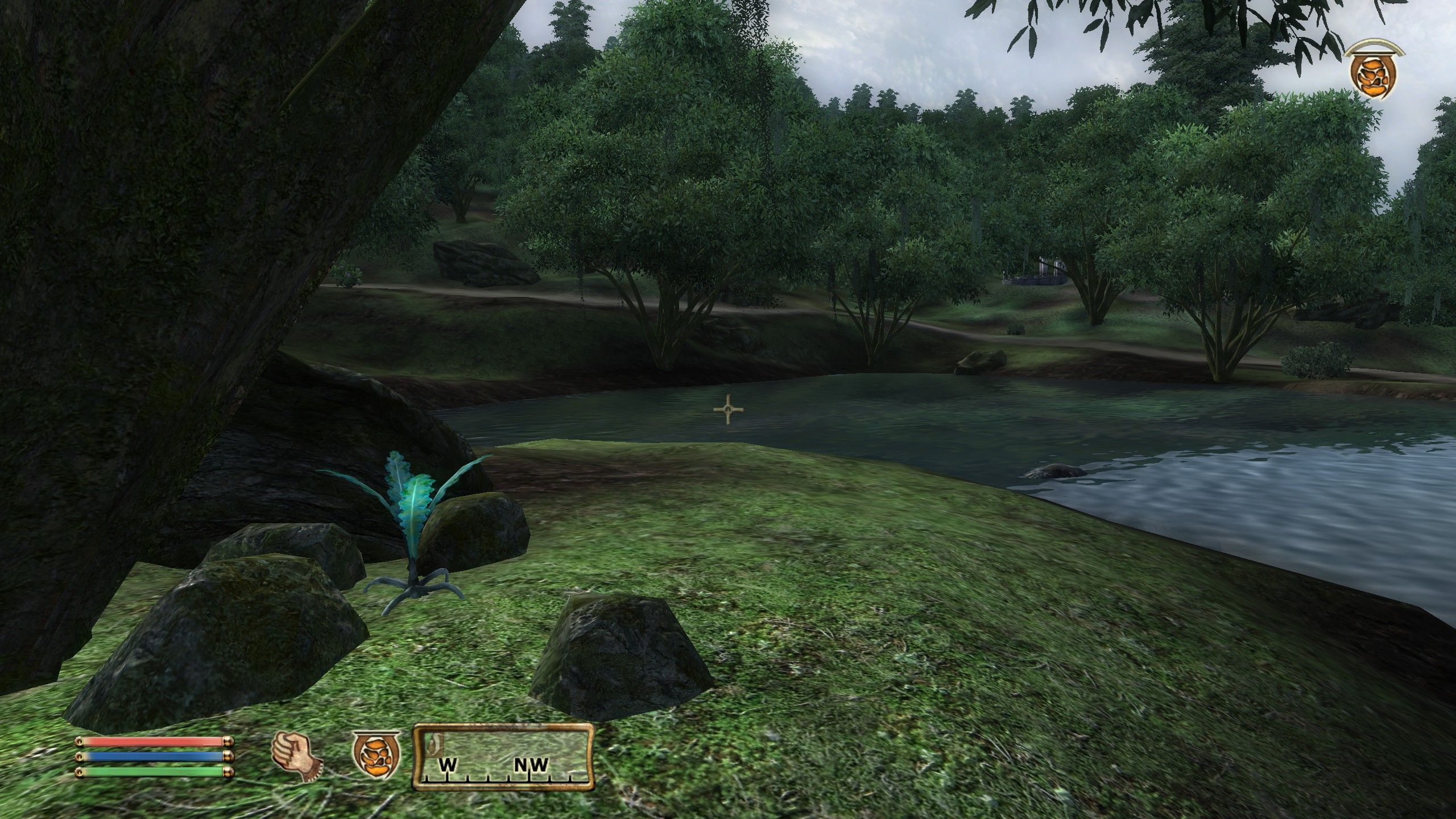 The Elder Scrolls IV: Oblivion